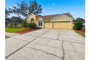15012 ELMCREST STREET, ODESSA, FL 33556 - MLS#MFRTB8449701