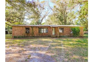 111 MULBERRY STREET, PALATKA, FL 32177 - MLS#MFRTB8449707