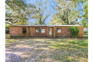 111 MULBERRY STREET, PALATKA, FL 32177 - MLS#MFRTB8449707