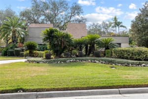 1221 RIVERHILLS DRIVE, TEMPLE TERRACE, FL 33617 - MLS#MFRTB8449712