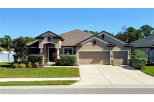 1619 ANASTACIA LANE, SUN CITY CENTER, FL 33573 - MLS#MFRTB8449740