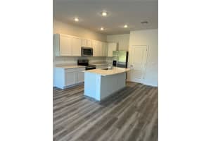 17485 SPANISH OAK LOOP, LAND O LAKES, FL 34638 - MLS#MFRTB8449782