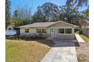 1207 E Crawford St, TAMPA