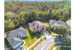 9437 ROCKROSE DRIVE, TAMPA, FL 33647 - MLS#MFRTB8449854