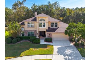 9437 ROCKROSE DRIVE, TAMPA, FL 33647 - MLS#MFRTB8449854