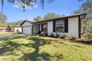 193 FITZPATRICK AVENUE, INVERNESS, FL 34453 - MLS#MFRTB8449868