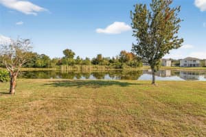 20703 GREAT LAUREL AVENUE, TAMPA, FL 33647 - MLS#MFRTB8449871