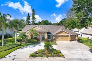 16906 EQUESTRIAN TRAIL, ODESSA, FL 33556 - MLS#MFRTB8449884