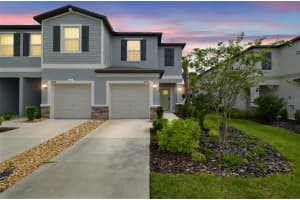 36390 WELL HILL WAY, ZEPHYRHILLS, FL 33541 - MLS#MFRTB8449896