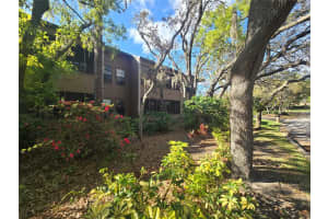 103 CYPRESS POND ROAD, PALM HARBOR, FL 34683 - MLS#MFRTB8449932