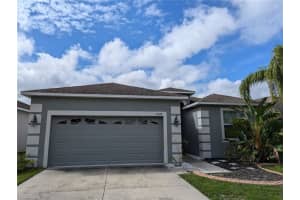 13428 Graham Yarden Dr, RIVERVIEW