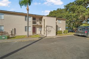 7529 PITCH PINE CIRCLE, TAMPA, FL 33617 - MLS#MFRTB8449982