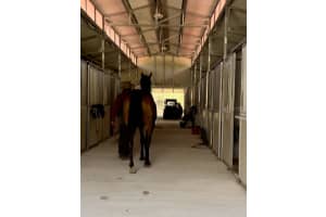 14192 ERMINE OWL ROAD, BROOKSVILLE, FL 34614 - MLS#MFRTB8450010