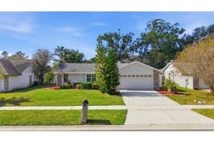 14912 PALMCREST PLACE, TAMPA, FL 33625 - MLS#MFRTB8450014