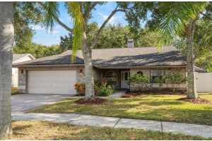 12030 Steppingstone Blvd, TAMPA 12030 Steppingstone Blvd, TAMPA