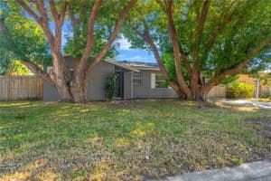 29741 66TH WAY, CLEARWATER, FL 33761 - MLS#MFRTB8450038