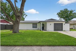 17821 MORNINGHIGH DRIVE, LUTZ, FL 33549 - MLS#MFRTB8450056