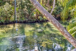 6110 BEAR TRAIL, WEEKI WACHEE, FL 34607 - MLS#MFRTB8450066