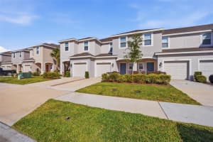 34247 CARRONADE COURT, WESLEY CHAPEL, FL 33543 - MLS#MFRTB8450078