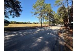 2901 FOREST ROAD, SPRING HILL, FL 34606 - MLS#MFRTB8450081
