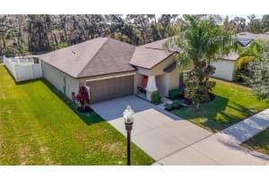 39946 DAWSON CHASE DRIVE, ZEPHYRHILLS, FL 33540 - MLS#MFRTB8450125