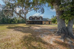 9826 GALLAGHER ROAD, DOVER, FL 33527 - MLS#MFRTB8450133