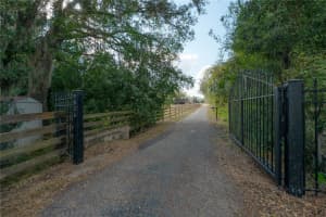 9826 GALLAGHER ROAD, DOVER, FL 33527 - MLS#MFRTB8450133