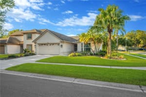 1610 ELK SPRING DRIVE, BRANDON, FL 33511 - MLS#MFRTB8450149