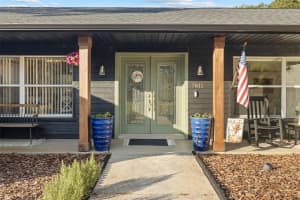 7811 PINEVIEW DRIVE, ODESSA, FL 33556 - MLS#MFRTB8450159