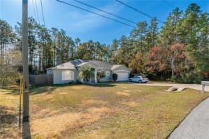 49 HEMLOCK TRACE, OCALA, FL 34472 - MLS#MFRTB8450161