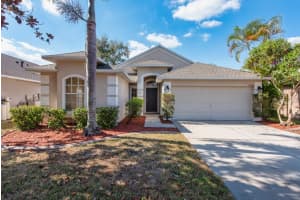 12808 Standbridge Dr, RIVERVIEW 12808 Standbridge Dr, RIVERVIEW