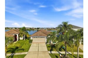 31245 Triborough Dr, WESLEY CHAPEL 31245 Triborough Dr, WESLEY CHAPEL