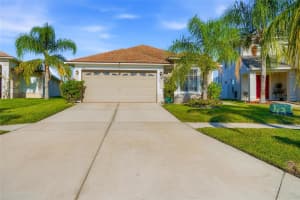 31245 TRIBOROUGH DRIVE, WESLEY CHAPEL, FL 33545 - MLS#MFRTB8450170