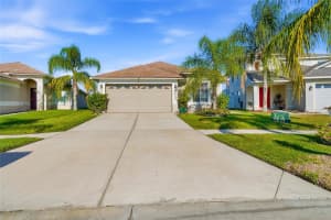 31245 TRIBOROUGH DRIVE, WESLEY CHAPEL, FL 33545 - MLS#MFRTB8450170