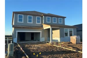 10168 HIDDEN HAMMOCK LOOP, PARRISH, FL 34219 - MLS#MFRTB8450179