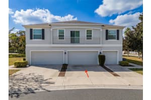 805 Ashentree Dr, PLANT CITY 805 Ashentree Dr, PLANT CITY