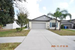 10120 Carloway Hills Dr, WIMAUMA