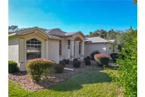 5386 LENA DRIVE, BEVERLY HILLS, FL 34465 - MLS#MFRTB8450250