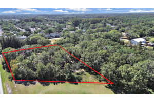 16906 LAKESHORE ROAD, LUTZ, FL 33558 Sold 03/26/26