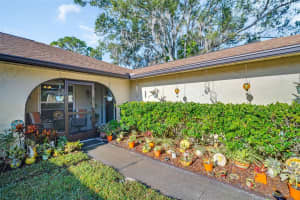 3481 MACLAREN DRIVE, PALM HARBOR, FL 34684 - MLS#MFRTB8450327