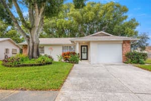 142 Stafford Cir, PALM HARBOR