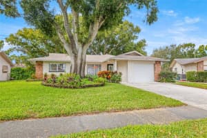 142 STAFFORD CIRCLE, PALM HARBOR, FL 34684 - MLS#MFRTB8450333