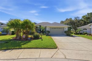 3156 TIMBERLY LANE, LAKELAND, FL 33810 - MLS#MFRTB8450357
