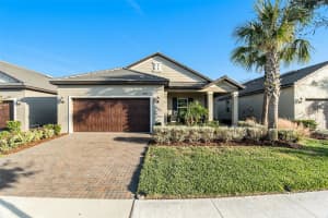 16816 Shell Bay Dr, LAND O LAKES 16816 Shell Bay Dr, LAND O LAKES