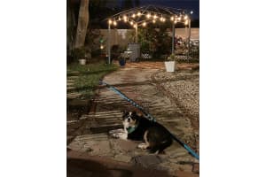 6164 97TH TERRACE, PINELLAS PARK, FL 33782 - MLS#MFRTB8450396