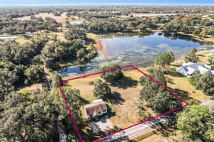 2215 WALLACE ROAD, LUTZ, FL 33549 - MLS#MFRTB8450439
