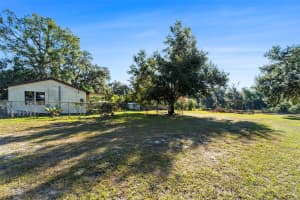 2215 WALLACE ROAD, LUTZ, FL 33549 - MLS#MFRTB8450439