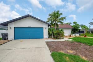 8635 CHADWICK DRIVE, TAMPA, FL 33635 - MLS#MFRTB8450440