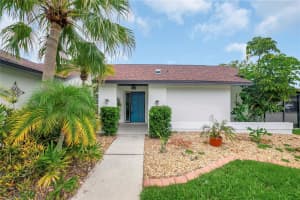 8635 CHADWICK DRIVE, TAMPA, FL 33635 - MLS#MFRTB8450440