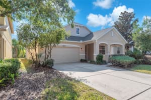 9023 SIENNA MOSS LANE, RIVERVIEW, FL 33578 - MLS#MFRTB8450481